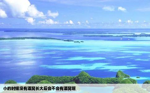 小的时候没有酒窝长大后会不会有酒窝啊