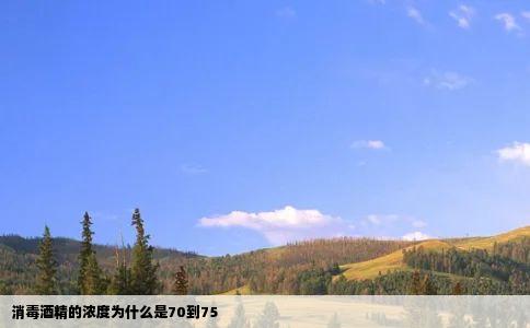 消毒酒精的浓度为什么是70到75