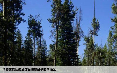 消费者能认知酒店品牌所赋予的内涵么