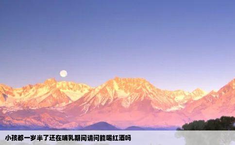 小孩都一岁半了还在哺乳期间请问能喝红酒吗
