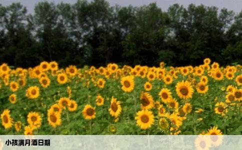 小孩满月酒日期