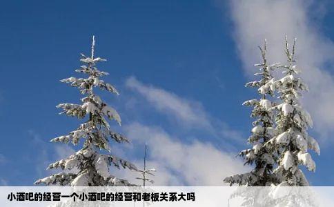 小酒吧的经营一个小酒吧的经营和老板关系大吗