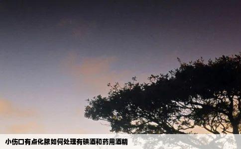小伤口有点化脓如何处理有碘酒和药用酒精