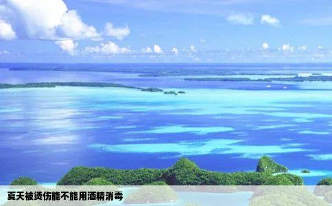 夏天被烫伤能不能用酒精消毒