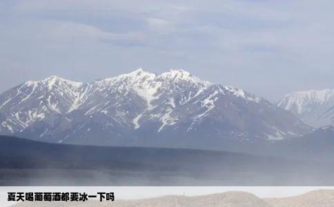 夏天喝葡萄酒都要冰一下吗