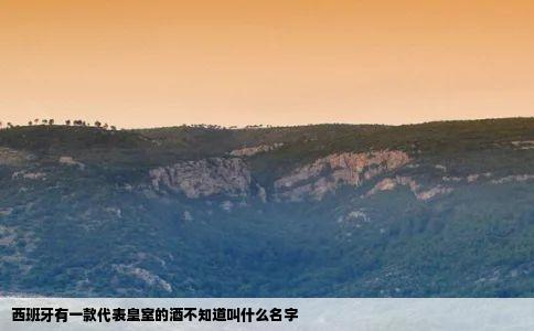 西班牙有一款代表皇室的酒不知道叫什么名字