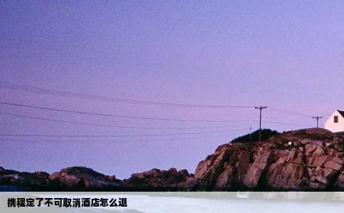 携程定了不可取消酒店怎么退