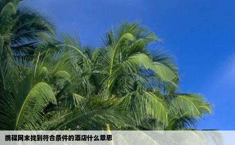 携程网末找到符合条件的酒店什么意思