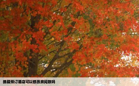 携程预订酒店可以修改房间数吗