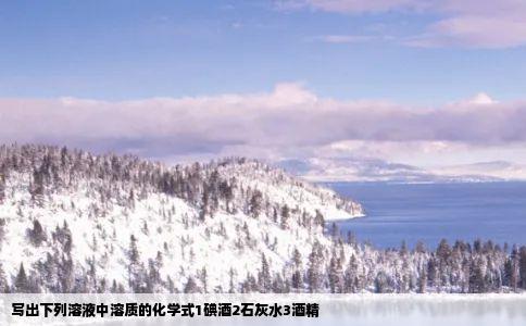 写出下列溶液中溶质的化学式1碘酒2石灰水3酒精