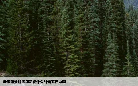 希尔顿欢朋酒店品牌什么时候落户中国