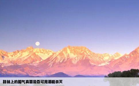 鞋袜上的脚气真菌是否可用酒精杀灭