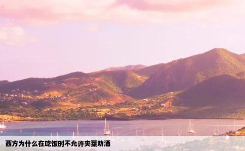 西方为什么在吃饭时不允许夹菜劝酒