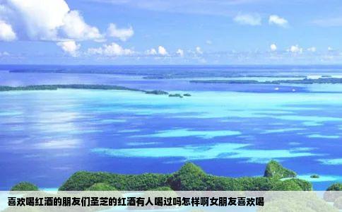 喜欢喝红酒的朋友们圣芝的红酒有人喝过吗怎样啊女朋友喜欢喝