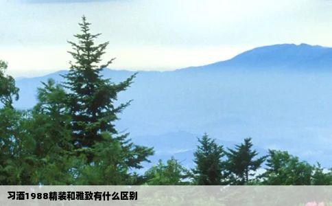 习酒1988精装和雅致有什么区别
