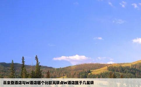 喜来登酒店与W酒店哪个比较高级点W酒店属于几星级
