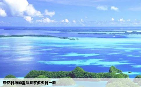 杏花村福酒瓷瓶现在多少钱一瓶