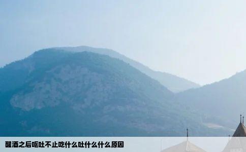 醒酒之后呕吐不止吃什么吐什么什么原因