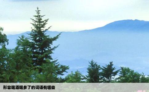 形容喝酒喝多了的词语有哪些
