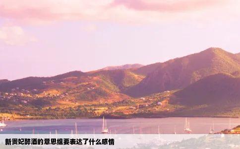 新贵妃醉酒的意思组要表达了什么感情