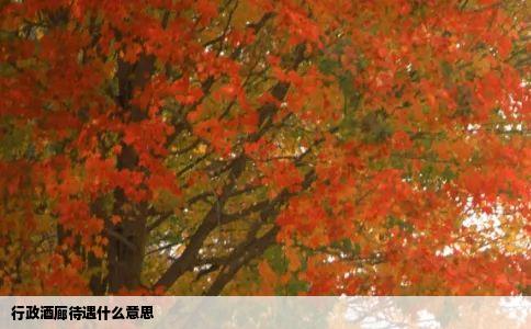行政酒廊待遇什么意思