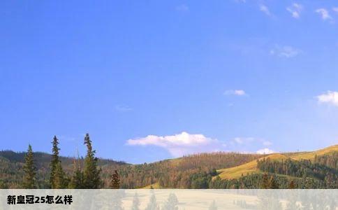 新皇冠25怎么样