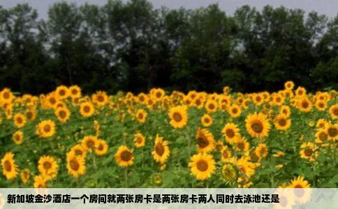 新加坡金沙酒店一个房间就两张房卡是两张房卡两人同时去泳池还是