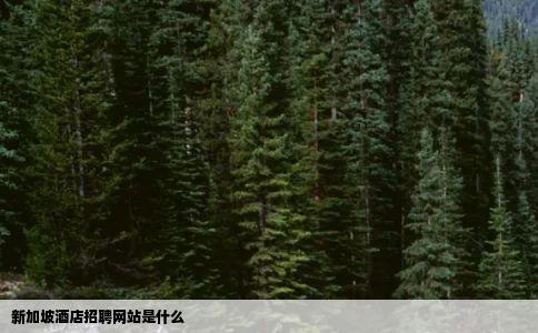 新加坡酒店招聘网站是什么