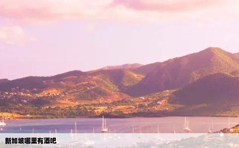 新加坡哪里有酒吧