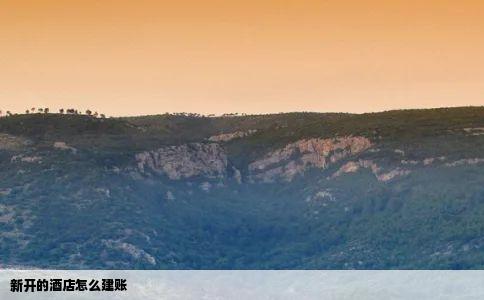 新开的酒店怎么建账