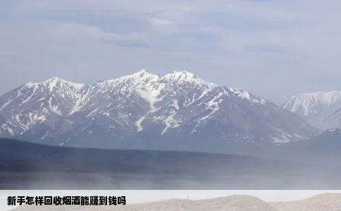 新手怎样回收烟酒能赚到钱吗