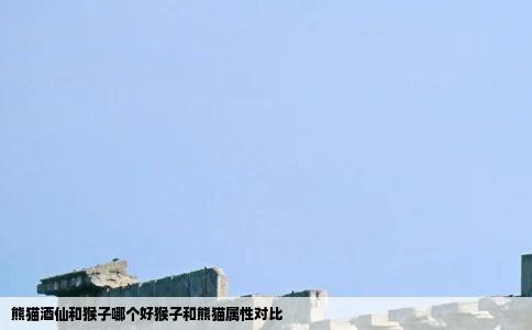 熊猫酒仙和猴子哪个好猴子和熊猫属性对比