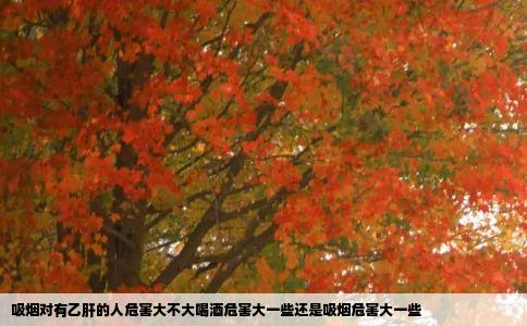 吸烟对有乙肝的人危害大不大喝酒危害大一些还是吸烟危害大一些