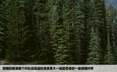 吸烟和喝酒哪个对社会造成的危害更大一些能否提供一些吸烟对怀