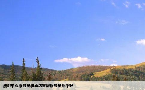 洗浴中心服务员和酒店客房服务员那个好