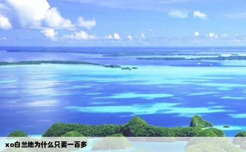 xo白兰地为什么只要一百多