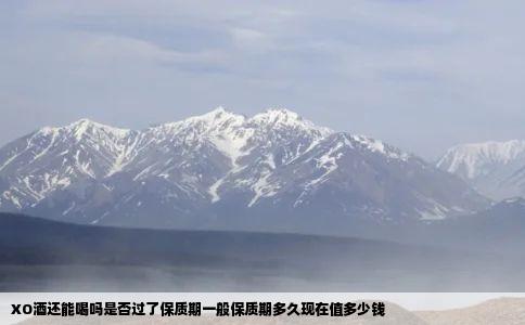 XO酒还能喝吗是否过了保质期一般保质期多久现在值多少钱