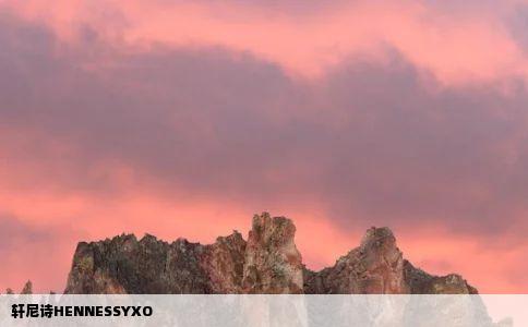 轩尼诗HENNESSYXO