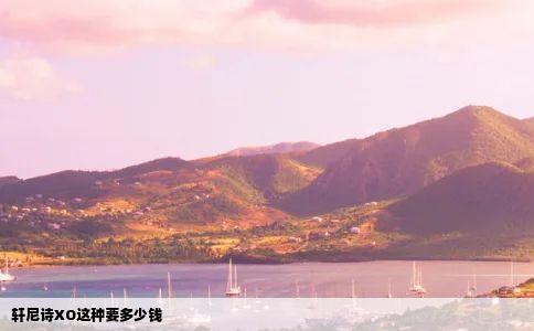 轩尼诗XO这种要多少钱