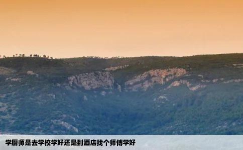 学厨师是去学校学好还是到酒店找个师傅学好