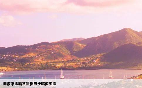 血液中酒精含量相当于喝多少酒