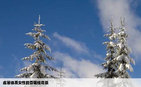 虚寒体质女性能否喝桂花茶