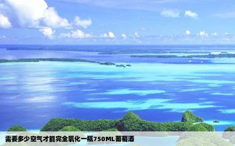 需要多少空气才能完全氧化一瓶750ML葡萄酒