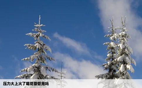 压力大上火了喝花茶管用吗