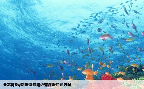 亚龙湾5号别墅酒店附近有浮潜的地方吗