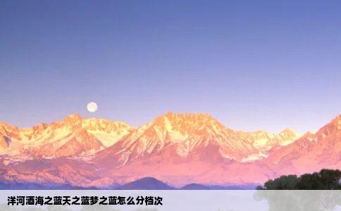 洋河酒海之蓝天之蓝梦之蓝怎么分档次