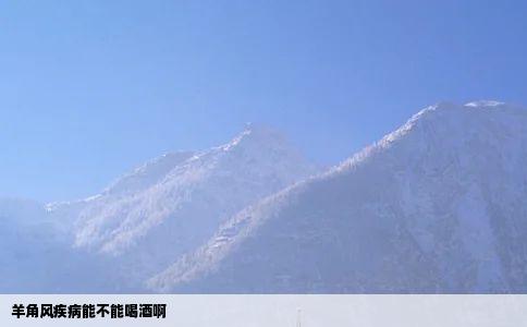 羊角风疾病能不能喝酒啊