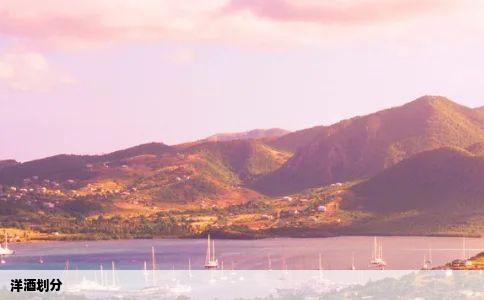 洋酒划分