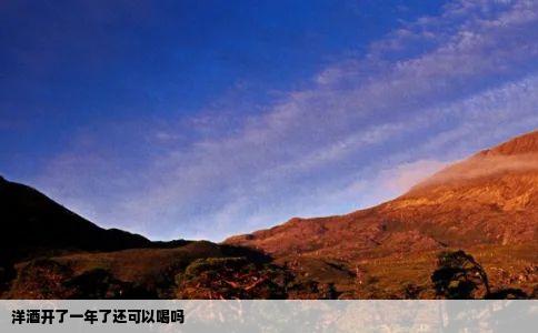 洋酒开了一年了还可以喝吗