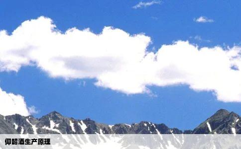 仰韶酒生产原理